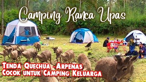 CAMPING RANCA UPAS BANDUNG CIWIDEY | TENDA ARPENAS FAMILY - YouTube