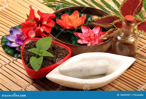 Dry mud spa stock image. Image of flower, bamboo, salt - 16655991