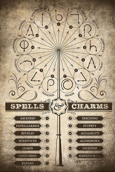 Poster Harry Potter - Spells and Charms | Wall Art, Gifts & Merchandise ...