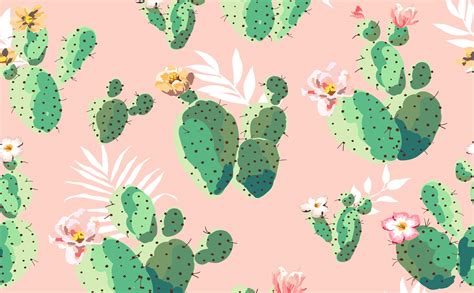 Cactus Wallpapers on WallpaperDog