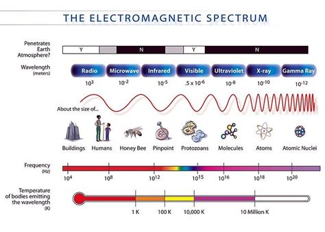 11.3 Electromagnetic spectrum | Electromagnetic radiation | Siyavula