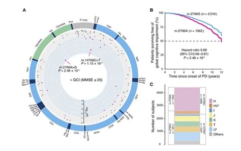 Mitochondrial haplogroups and cognitive progression in Parkinson’s ...