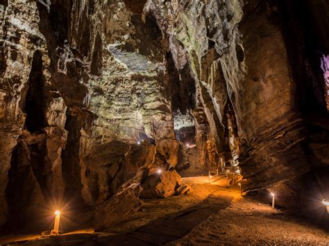 Ancient fossils in SA's 'Cradle of Humankind' more than 1 million years older than previously ...