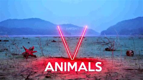 Maroon 5 - Animals (Instrumental & Lyrics) - YouTube