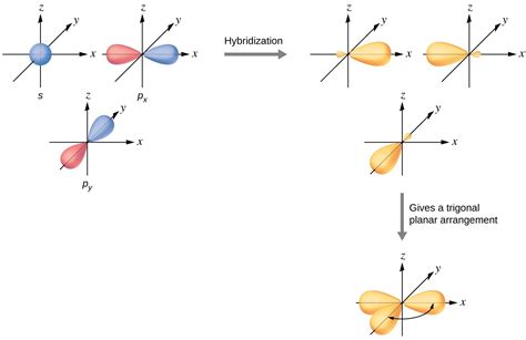 Hybrid Atomic Orbitals | General Chemistry