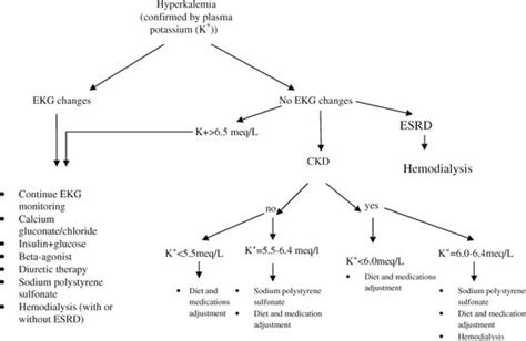 Hyperkalemia algorithm | Hyperkalemia, Nursing notes, Nursing tips