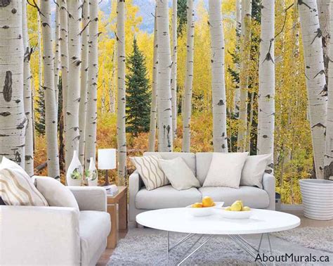 Aspen Forest Wallpaper | White Trees in Yellow Fall Forest | About Murals | Tree wallpaper room ...