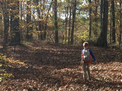 Hoosier hiking Hoosier national forest - HOOSIER HIKING .COM