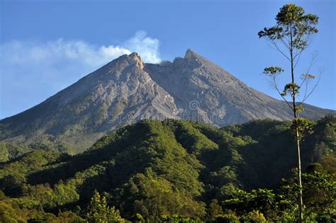 Merapi Volcano and Trees stock image. Image of indonesia - 237322757