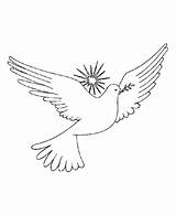 Free White Dove Coloring Page Download  sketch template