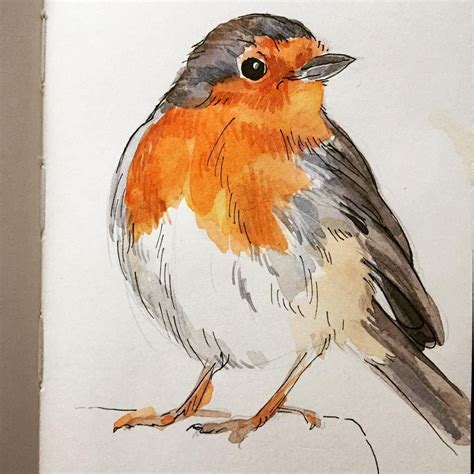 Robyn Henderson Nordstrom on Instagram: “day 5 — “bird” I decided to try to sketch robin ...