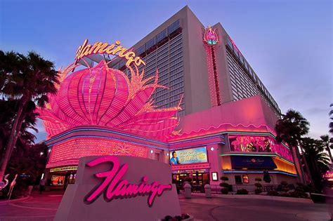 Flamingo Hotel Las Vegas Review