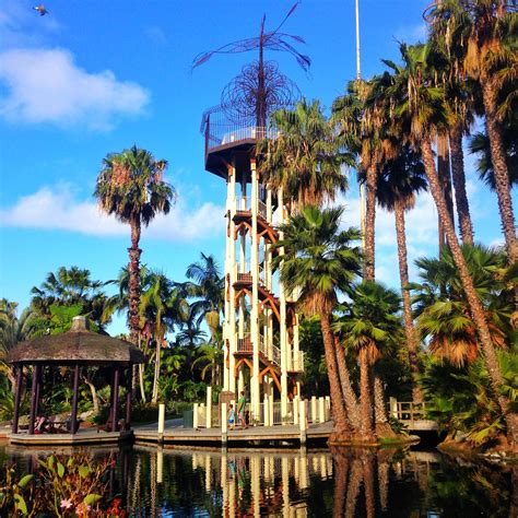 The Tower Overlooking Mission Bay | Mission bay, Places to see, California dreamin'