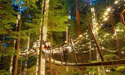 Canyon Lights returns to Capilano Suspension Bridge this holiday season ...