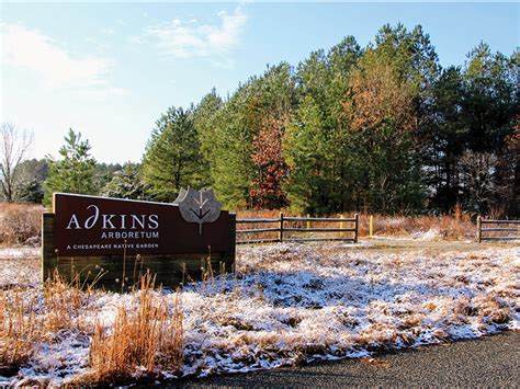 Find Your Chesapeake: Adkins Arboretum – Attraction