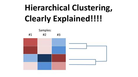 StatQuest: Hierarchical Clustering - YouTube