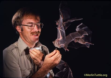 BCR 141: Merlin Tuttle, Bat Conservation - BirdCallsRadio™ | Exploring birdlife around the world™