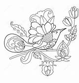 Paradise Birds Line Coloring Pages  Cool sketch template