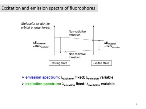 PPT - Fluorescent proteins and their applications PowerPoint ...