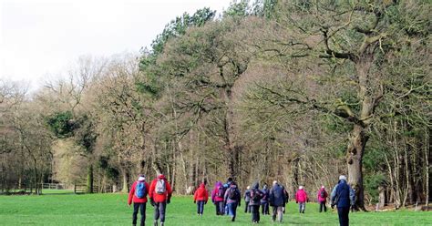 Barn Owl / Lymm (Saturday Strollers) - Sat 3 June - Ramblers