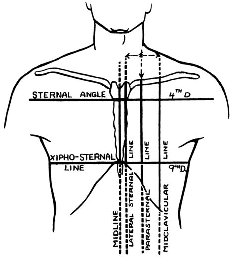 Chest Topography – Timotej Vataha