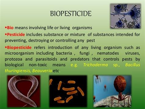 Biopesticides