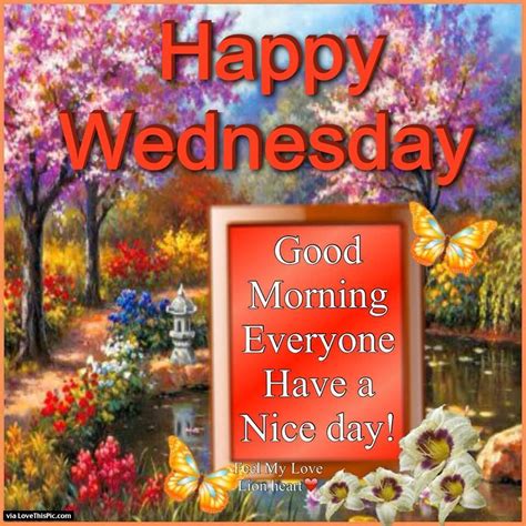 Happy Wednesday Good Morning Everyone Have A Nice Day | Good morning wednesday, Happy wednesday ...