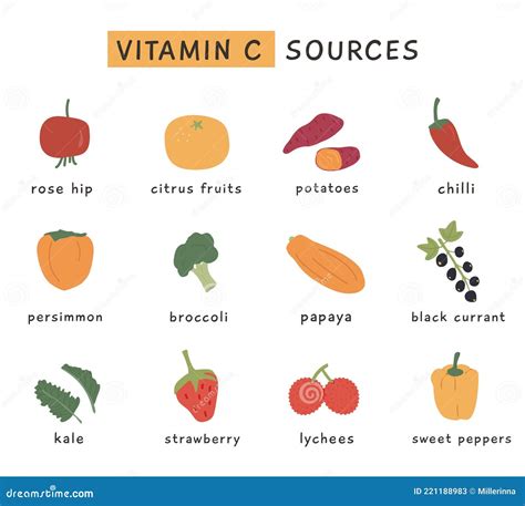 Vitamin C Food Sources for Healthy Diet. Set of Food Containing ...