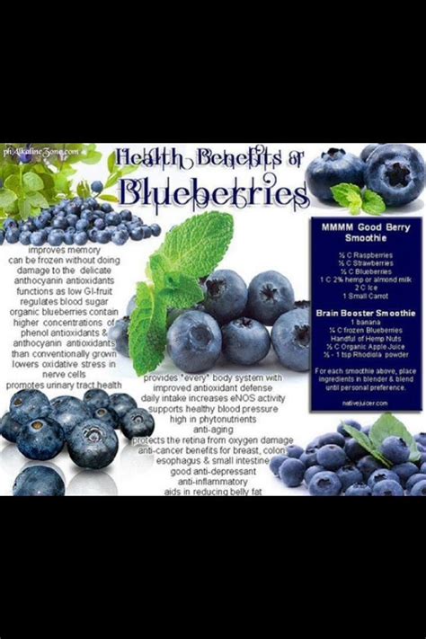 Benefits Of Blueberry - Musely