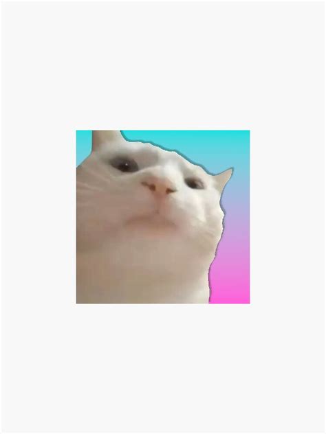 "Vibing Cat Meme " Sticker by Bighomie | Redbubble