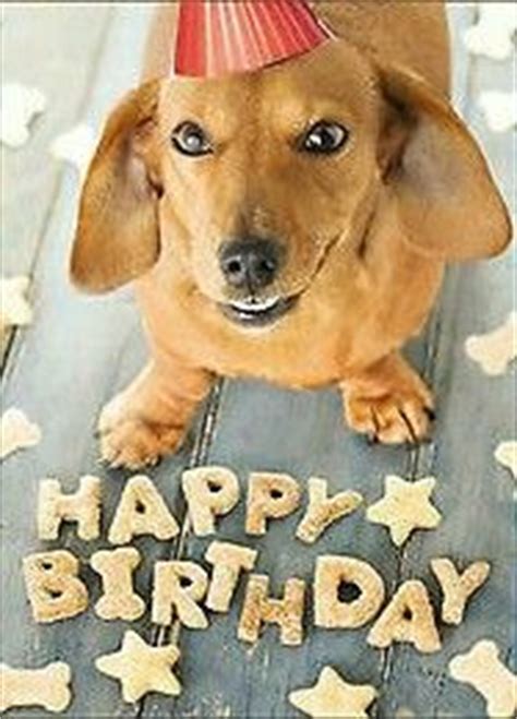 Funny Weiner Dog Birthday Meme - Funny PNG