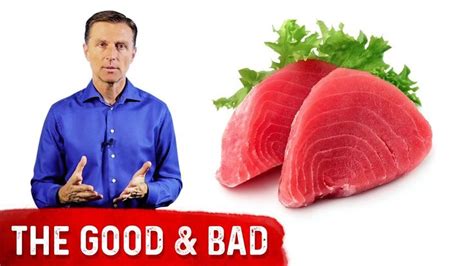 Mercury in Tuna: What Type Is Good and Bad? | Health diet, Dr berg, Eric berg