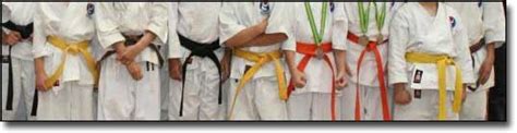 How Are Karate Belts Earned and What do Karate Belt Colors Mean?