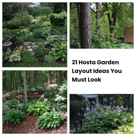 21 Hosta Garden Layout Ideas You Must Look | SharonSable