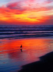 Sunset on Huntington Beach, California, Pacific Ocean | Flickr
