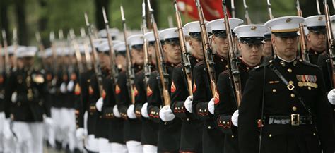 Anyone else want under this marine pic – Telegraph