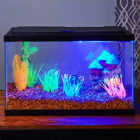 Buy AquaCulture Aquarium 10 Gallon 10 Gallon Online in India. 144433503