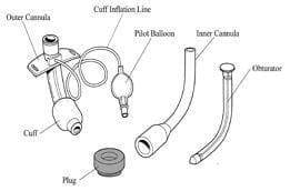 Fenestrated Tracheostomy Tube • LITFL • CCC Airway