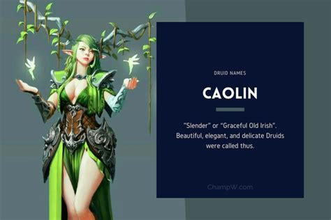 150+ Druid Names For Your Newborn Kids