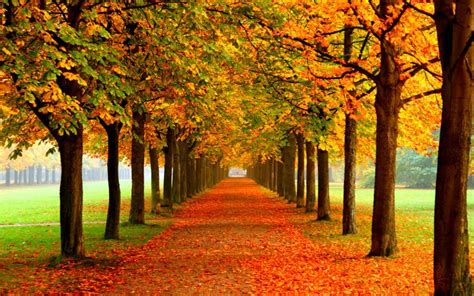 Poems About Autumn | Beautiful Poetry for the Fall Season