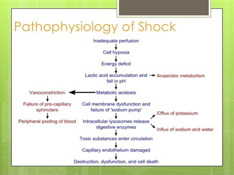 Shock - Pathophysiology / Types & Management