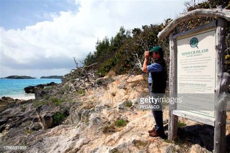 Nonsuch Island Photos and Premium High Res Pictures - Getty Images