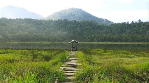 Pendakian Gunung Argopuro - Part 2 | Hiking Vlog - YouTube