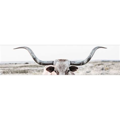 Texas Longhorn Canvas Wall Art, 36x9