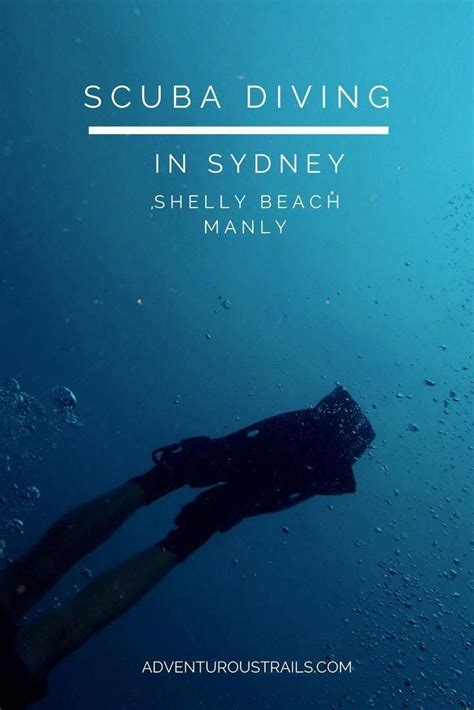 Diving Shelly Beach in Sydney, Australia! | Scuba Diving In Sydney # ...