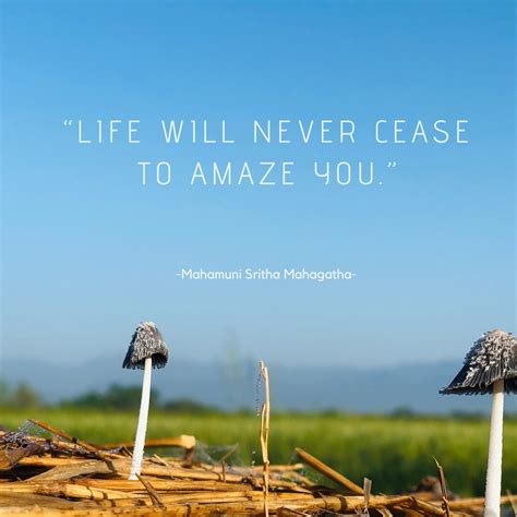 Life will never cease to amaze you. - Mahagathe