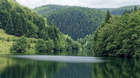 Rennsteig: The 700 Year Old Hiking Trail in Germany | Bookmundi