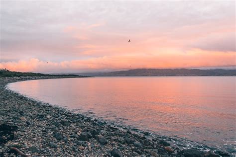 Overnight Stay on Nature- and Birdlovers Paradise: Kapiti Island - Flip ...