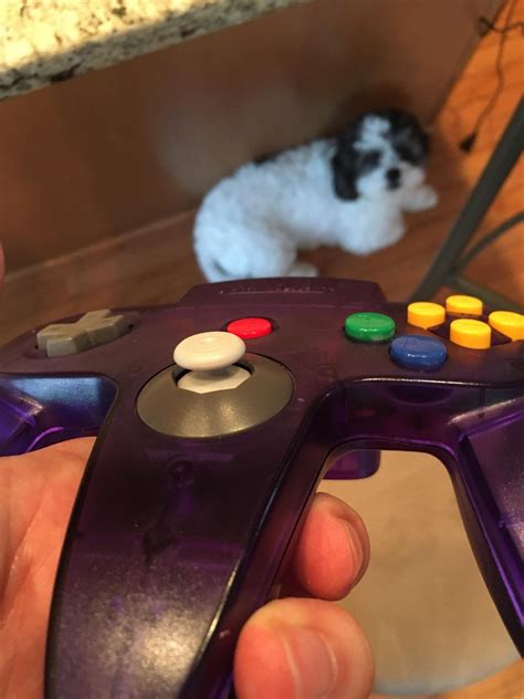 8bitdo + OEM = Wireless N64 Controller : 7 Steps (with Pictures ...