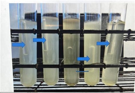 BIOL260_ Ex 29-Water Lab The water lab consists of a | Chegg.com